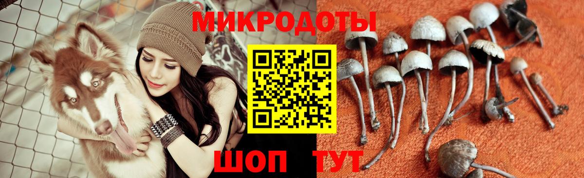 Ревда  Галлюциногенные грибы Magic Shrooms  Вход с VPN 